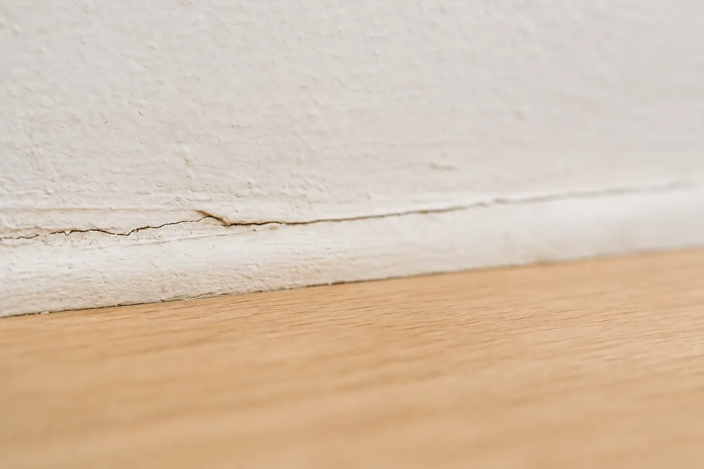 Wooden floor and skirting board with no ants present