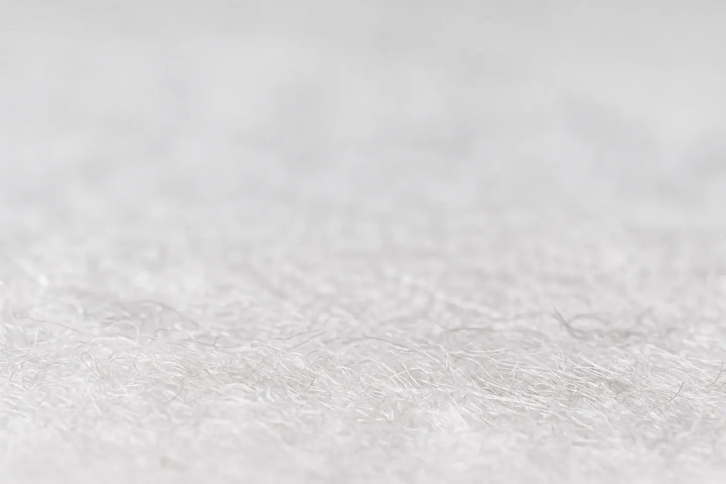 Pale carpet with no carpet beetles present