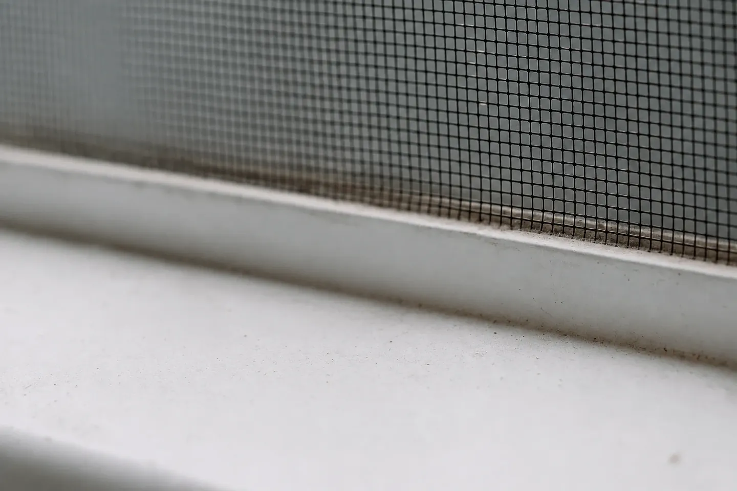 White window sill with no flies present