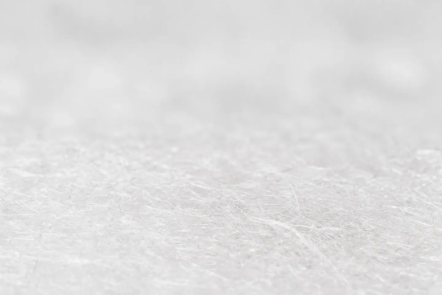 White surface with no cockroaches present