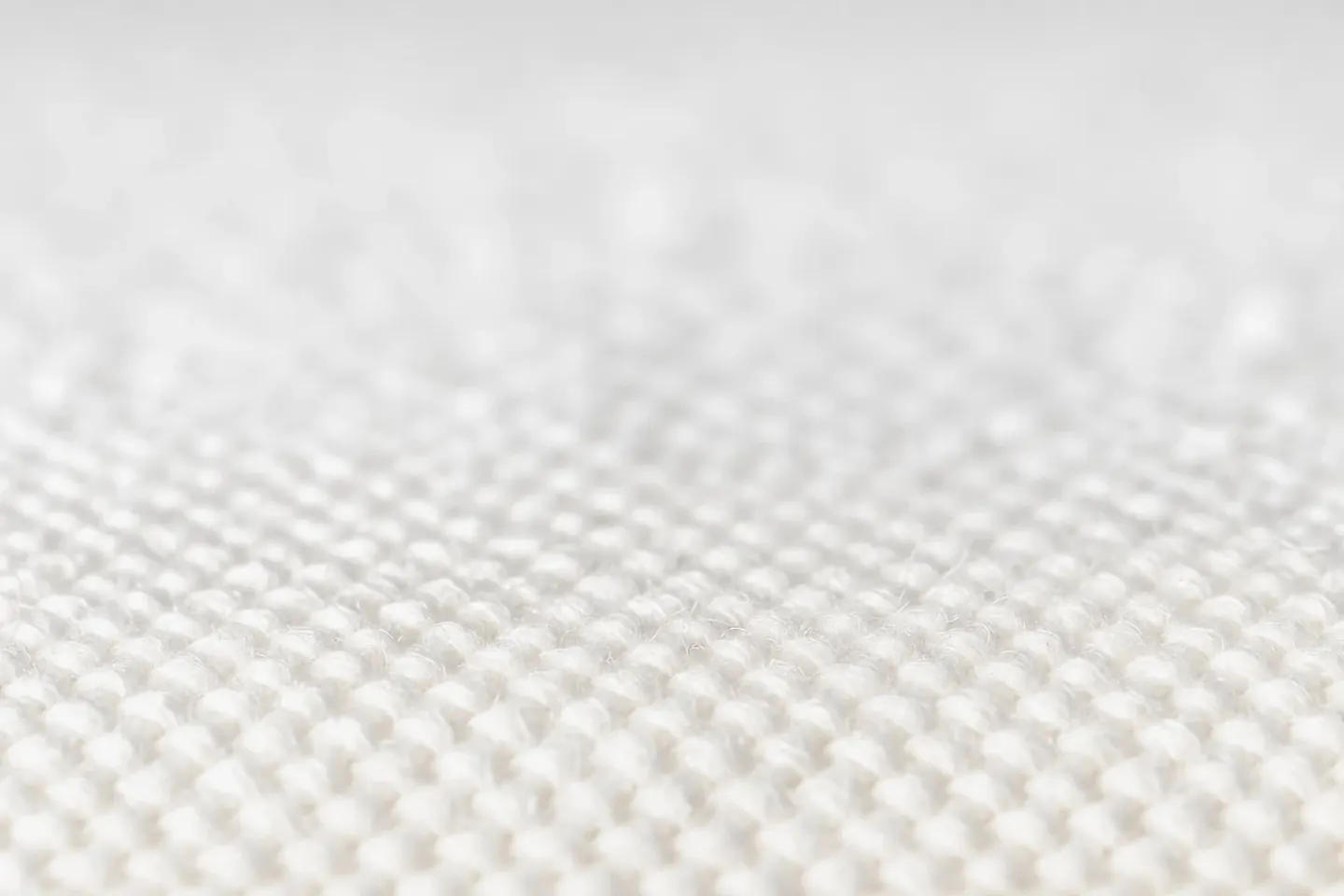 Pale fabric with no beetles present