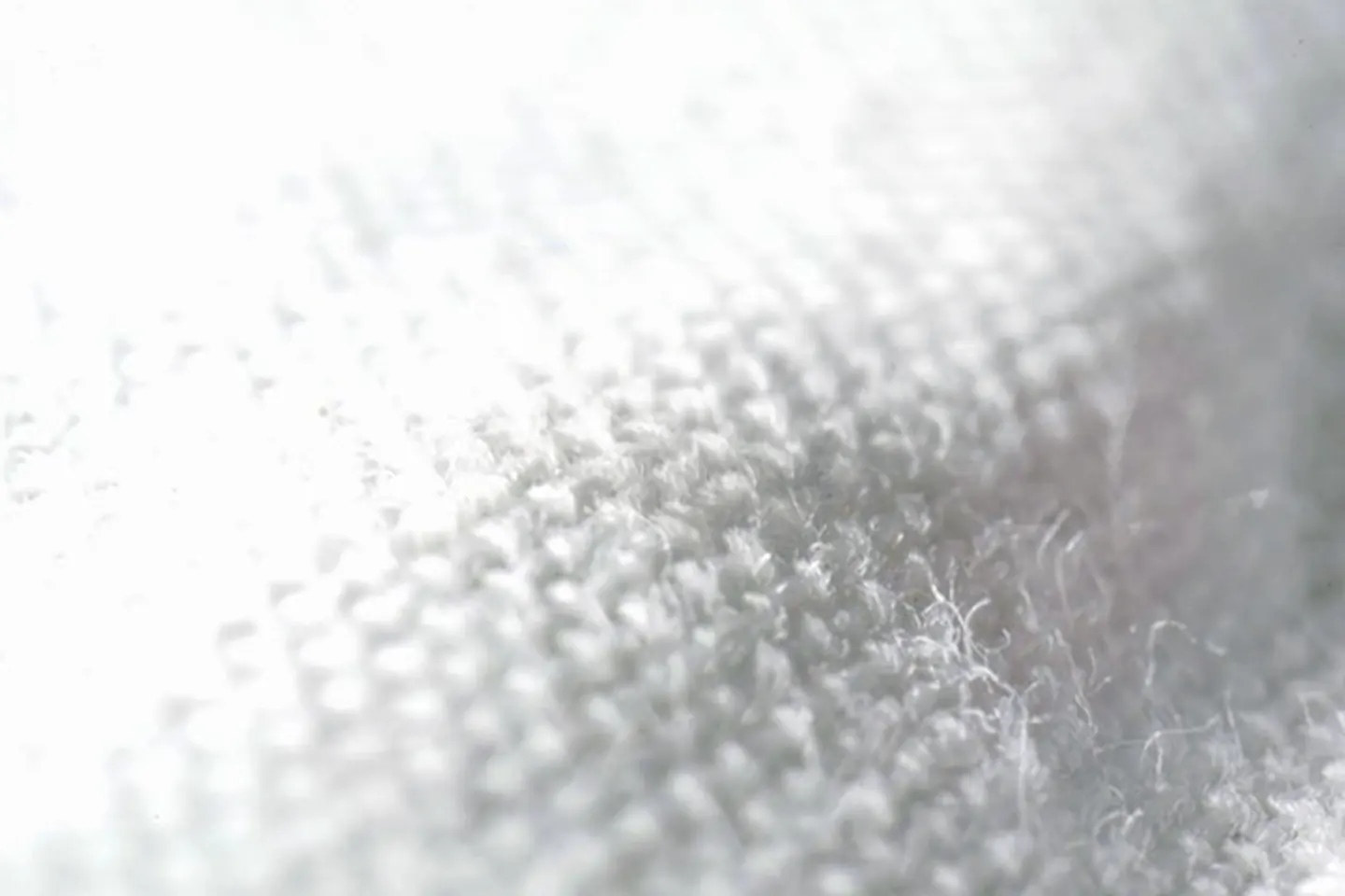 Pale woven fabric with no fleas present